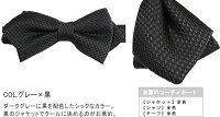 蝶ネクタイチェック