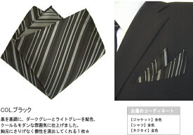 ポケットチーフ 縦ストライプ マルチ シルク 日本製 メール便 dplus arts