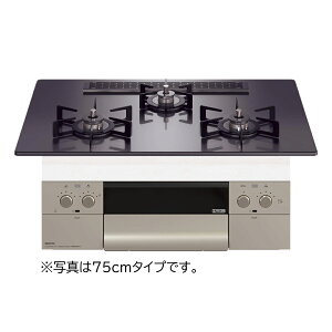  yszyԎwszyzszm[c Orche IVF SEFLATV[Y rgCKXR 051WA07 EΗ ssKXp 75cm^Cv N3WU2PWASQSTEC-12A13A