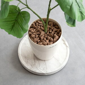 _11/5 XőP6{vGg[^y[J[zyszywszykCEEszv^[X^h 30cm 嗝Ε BLX^[t {쏊 Treno(g