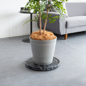 _11/5 XőP6{vGg[^y[J[zyszywszykCEEszv^[X^h 40cm 嗝Ε BLX^[t {쏊 Treno(g