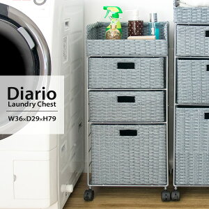 y[J[zyszywszykCEEszh[{bNX LX^[t {쏊 Diario(fBAI) u[ RB-358-BL