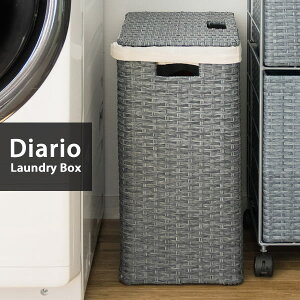 y[J[zyszywszykCEEszh[{bNX {쏊 Diario(fBAI) u[ RB-380-BL