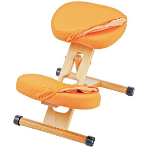 _11/5 XőP6{vGg[^y[J[zyszywszykCEEszւJo[ v|[V`FAp {̕ʔ 2ZbgiʗpAGp