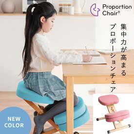 ＼7/10 当店最大P6倍※要エントリー／【メーカー直送】【代引不可】【日時指定不可】【北海道・沖縄・離島不可】プロポーションチェア 背筋矯正 組立式 ライトナチュラル脚 宮武製作所 ピンク CH-N889CK-NTPK