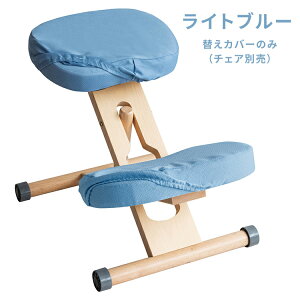 y[J[zyszywszykCEEszv|[V`FA pւJo[ {̕ʔ 2ZbgiʗpAGpj {쏊 Cgu[ CV-N8W-LB