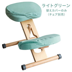 y[J[zyszywszykCEEszv|[V`FA pւJo[ {̕ʔ 2ZbgiʗpAGpj {쏊 CgO[ CV-N8W