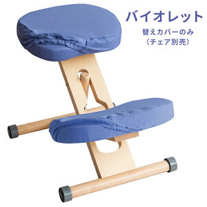 y[J[zyszywszykCEEszv|[V`FA pւJo[ {̕ʔ 2ZbgiʗpAGpj {쏊 oCIbg CV-N8W-VI