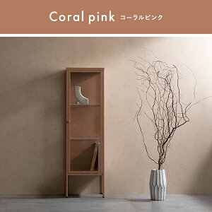 _11/5 XőP6{vGg[^y[J[zyszywszykCEEszfBXvCbN {쏊 Muun([) R[sN DSP-1160-CPK