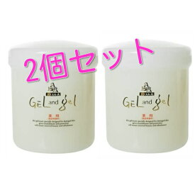 ゲルアンドゲル （ゲル＆ゲル） トリプルA 薬用 クリーム （500g） 2個セット