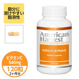 アメリカンハーベストビタミンCカプセルズ 120粒