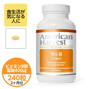 �A�����J���n�[�x�X�g�g��-B-100 1/4 �X�v���b�g 240��