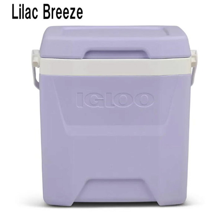 楽天市場】【お取り寄せ】IGLOO 12週～16間後入荷 ハードサイド 