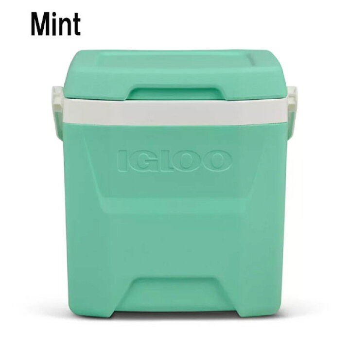 楽天市場】【お取り寄せ】IGLOO 12週～16間後入荷 ハードサイド 