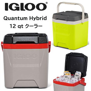 y񂹁z12T`16TԌח\ Igloo Quantum Hybrid 12 qt Cooler CO[ 12QT N[[{bNX 18ʎ[\ r Jbvz_[t NhN{bNX ٓ ۗ ۗ c
