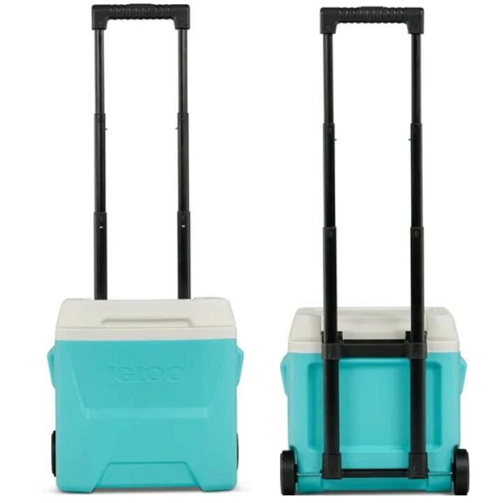 楽天市場】＼在庫有り／ Igloo 16 QT. Laguna Hard Sided Ice Chest 
