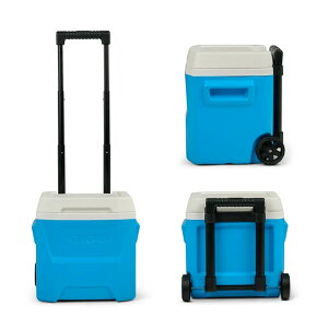 y݌ɗLzIgloo 16 QT CO[ O[i n[hTCh ACX`FXg [[N[[{bNX ANA} sN u[ Laguna Hard Sided Ice Chest Roller Aquamarine Pink blue n[hN[[ 