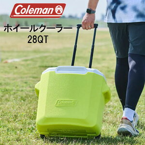 ݌ɗL聚 Coleman zC[N[[ 28QT CCG[ 2L6{[ e ^ Lknh ړ֗ nhX[v ۗ48 g₷ S e26L 2025 ČJ[ R[
