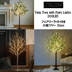 ŒZ14ł͂ LITBLOOM Ɩt c[ 4FT160 tFA[Cg z[ EFfBOp[eB[ [fR[V Cgt tFCNvg NX}X v[g  