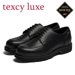 ��GORE-TEX�V���[�Y�I�J�ɂ������ɂ������Ȃ����y 2026�N �t�ă��f���z�y �A�V�b�N�X asics �z�y �V���[�Y �C �z �A�V�b�N�X���� �J�W���A���V���[�Y texcy luxe �e�N�V�[�����N�X �����Y GTX �S�A�e