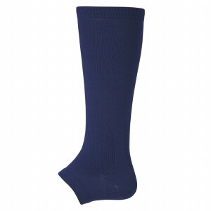 y[֑zy fTg DESCENTE zC-8403 싅 \bNXEXgbLO L^J[XgbLO DlCr[ DNVY[200415][amz] NX}X v[g