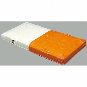 y SSK GXGXPC zy ݔ p z 싅 \tg{[p _u x[X \tg{[ YM9W [210319][amz] NX}X v[g