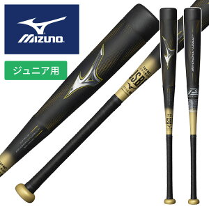 [\̔F10{ɔ\]|Cg10{y 2025N fzy ~Ym MIZUNO zyobgz 싅 WjA  FRP obg rh}bNX KV[ 78cm 80cm gbvoX q w