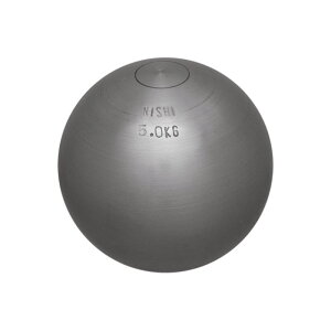 y jVX|[c NISHI zC(Kp) 5.00kg 5kg 5L G1154