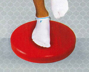 [ő2000~OFFN[|s]y jVX|[c NISHI zy g[jOpi zoXfBXN@NT5875@[200409] NX}X v[g