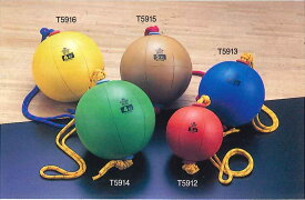 【ニシスポーツ　NISHI】【陸上競技用品】トレーニング　スウィングメディシンボール　3kg　直径25cm　ブルー　T5913