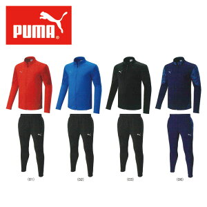 [hJ][㉺ʃTCYΉ]y v[} PUMA zyEFAz W[W ㉺Zbg team CUP ㉺ Y fB[X jp WPbg pc g[jO EFA ZbgAbv X|[c Tb