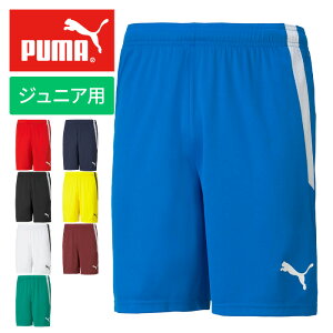 y[֑zDꂽzfނgpy v[} PUMA zy EFA z TbJ[ WjA Q[pc TEAM LIGA `[ [K Q[ n[t pc q ǂ w v[}