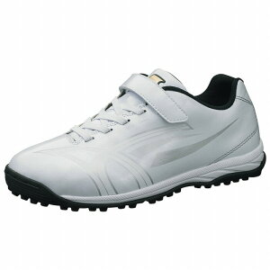 y SSK GXGXPC zy V[Y C z 싅 WjA g[jOV[Y X^L[TR gV[ AbvV[Y q w  SSF5201 1010 zCg [230123][hJ][amz] NX}X v