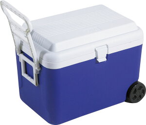 ���L���X�^�[�t����^�N�[���[BOX(48L)�I2L�̃y�b�g�{�g����12�{���[���y �[�b�g ZETT �z�y �ݔ� �p�� �z �N�[���[�{�b�N�X �z�C�[���N�[���[ 48L �X�|�[�c ���� �A�E�g�h�A ���W���[ �L�����v 