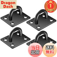 【9月1日ー9月15日まで200円オフ】【送料無料】【楽天ランキング1位獲得】Raonlla アイプレート パッドア…