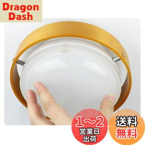 yzDepuley led V[OCg ؖڒ a Ɩ  a ^ 6 i`ؘg ̓v[g L y F 10W 哔 䏊 ~j RpNg ʏ ǃXCb` R