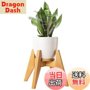 yzt[X^h Yangbaga X^h | Ƒ O  K[fjO ߉\ ő׏d30KG