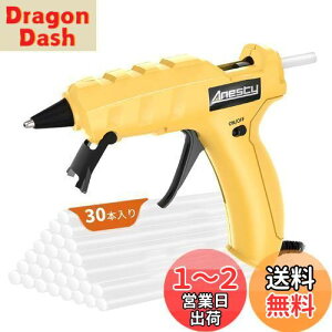 yzAnesty O[K 90b }M 50W  zr[pO[K Ȃ 茳ONEOFFo  ^ y | Ԃ̐ڒ DIY XebN30{t
