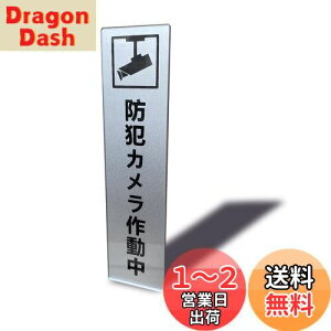 yzSeagron hƃJ쓮 }Olbg TCv[g Vo[F AN  14×3.5cm (hƃJ쓮 ^e^)