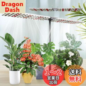 yzJCBritw 100W A琬Cg X^ht LED tXyNgLEDACg ͔| c؍͔| ԐA͔|k͔|v A͔|H /|ɓKp