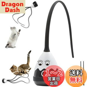 yzPetcronies L  L炵 2in1 ˂̊ߋ  d L LV ˂p  USB[d Sf ybg (ubN)