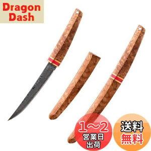 yzIrai Utaki LviCt ToCoiCtyVmz9cm _}XJX| ؏t 芴悭 V[XiCt tBbVO Lv ނ AEghA