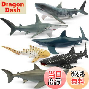 yzTOYMANY tBMA 6PCSTtBMA CmtBMAZbg 12cm`14cm   C̐ Aȓ͌^ TD lC  ߋ av[g N