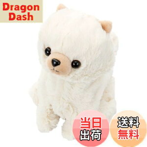 yzZKgCY(SEGA TOYS) RR Premium |jA