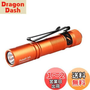 yzACEBEAM Pokelit AA d ^ y  550[PO 3iK F Ra90 IP68h ő9̎s 肵ptH[}X イłƂ ledCg tbV