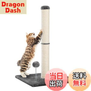 yzPAWZ Road L ܌ SʖR ܌|[ _  c^ L̒܌ TCUR lC Vv ^  ʔ\ ܂ƂLbg^[ X Ly   