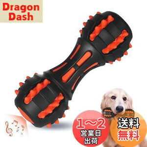 yzAUSCAT  ̏o邨 ނ mߋ VRS _x pߋ  XgX ^E^iԁj