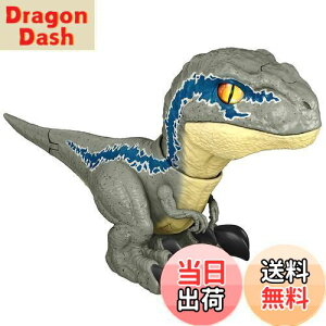 yz}e WVbN[h VȂxz \Ixr[Ex[^ GWY55