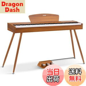 yzDonner dqsAm 88 n}[ANbV 3{y_ X^h A_v^[t { F DDP-80