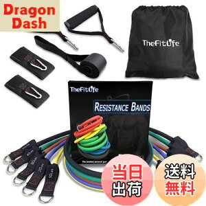 yzTheFitLife g[jO`[u `[u g[jO ؃g`[u (////)